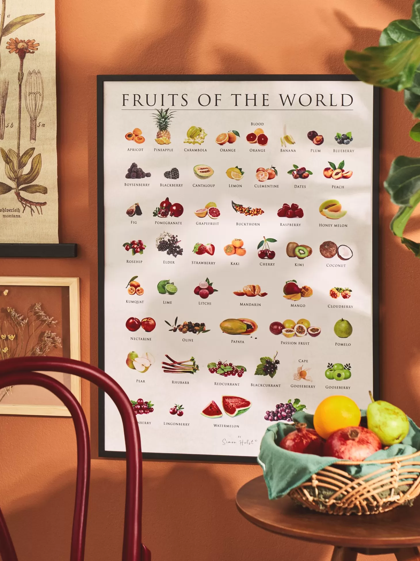 Søstrene Grene Plakat Fruits Of The World 50 X 70