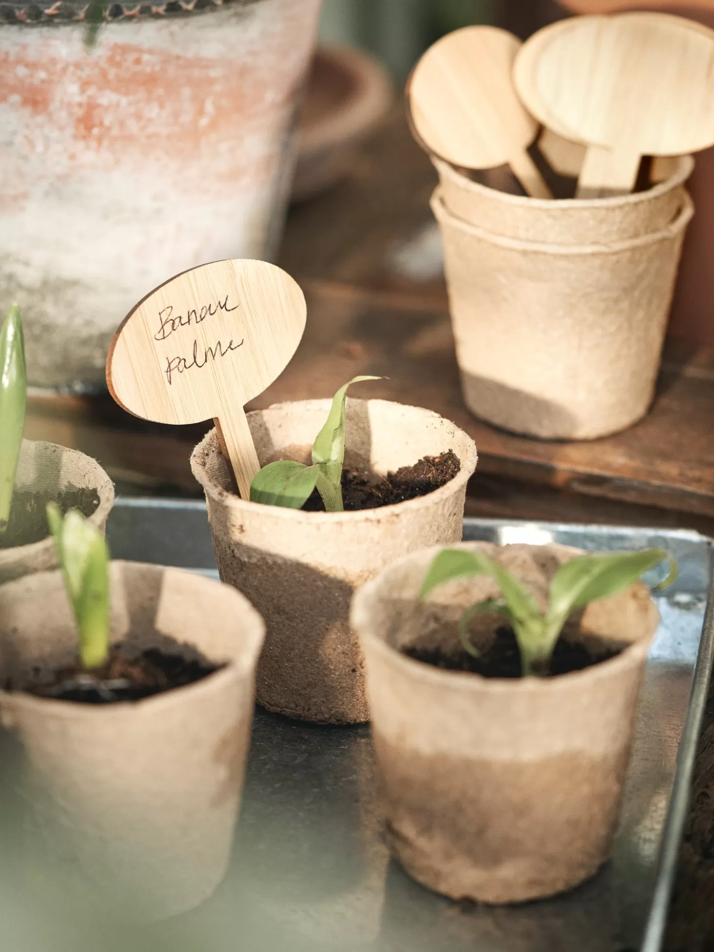 Søstrene Grene Plantepinde